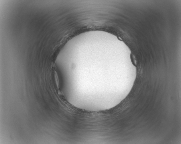 X0000052991012200508051102