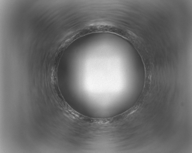 X0000052991014200508051102