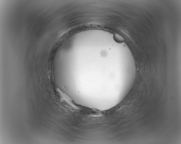 X0000052991015200508051102