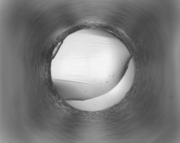 X0000052991016200508051102