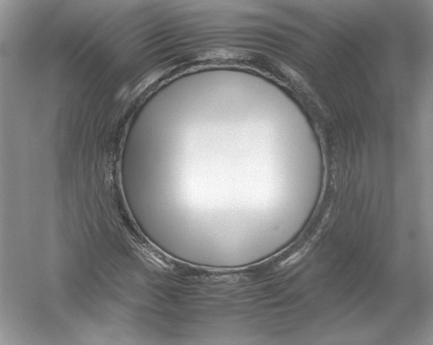 X0000052991017200508051102