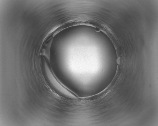 X0000052991018200508051102