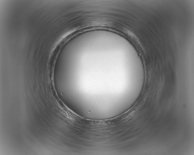 X0000052991019200508051102