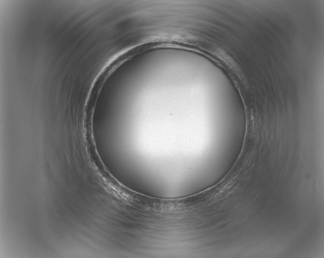 X0000052991020200508051102