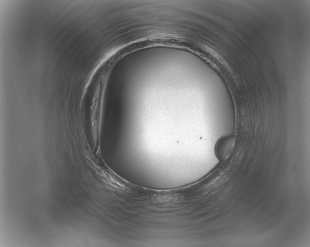 X0000052991021200508051102