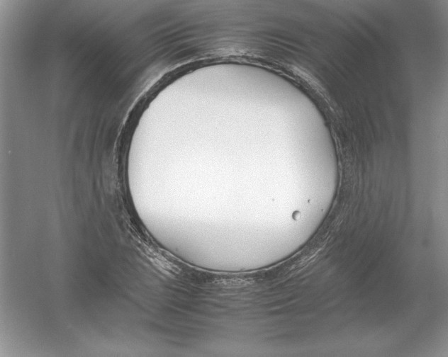 X0000052991023200508051102