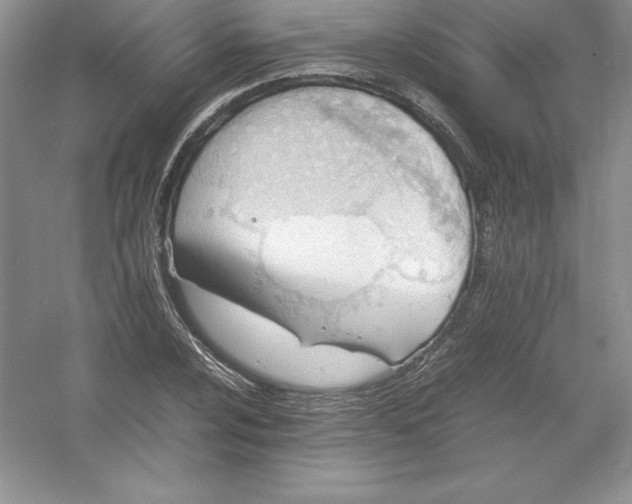 X0000052991024200508051102