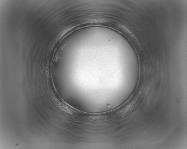 X0000052991025200508051102