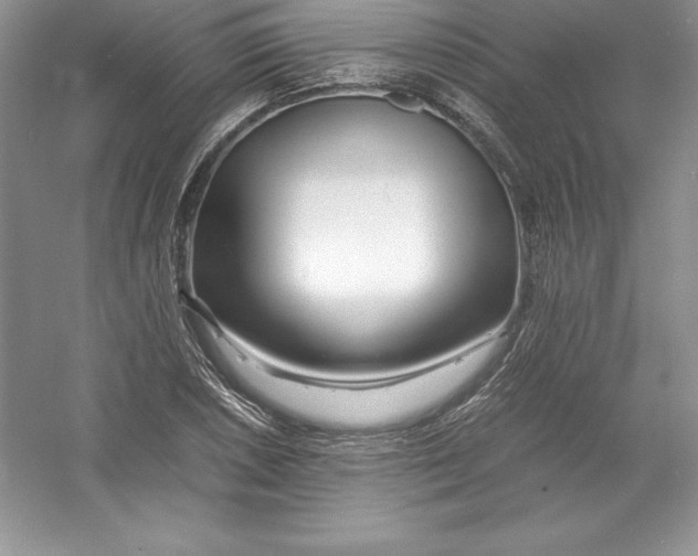 X0000052991026200508051102