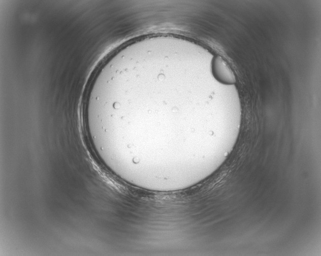 X0000052991032200508051102