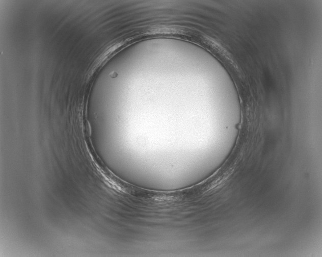 X0000052991033200508051102