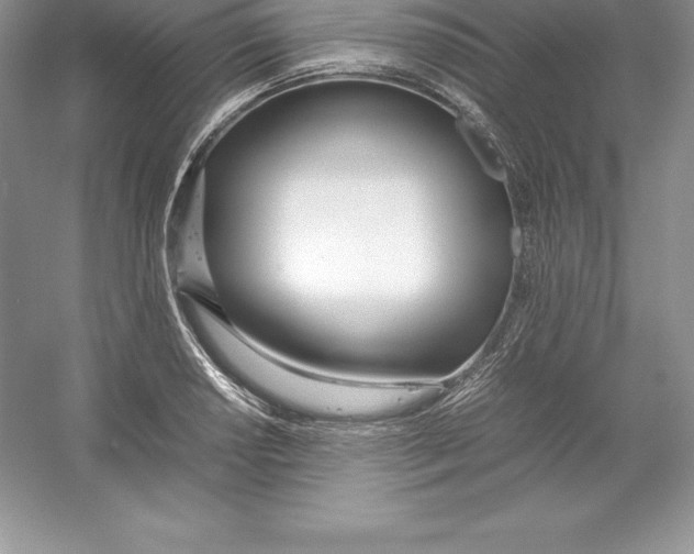 X0000052991034200508051102