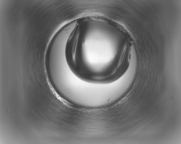 X0000052991038200508051102