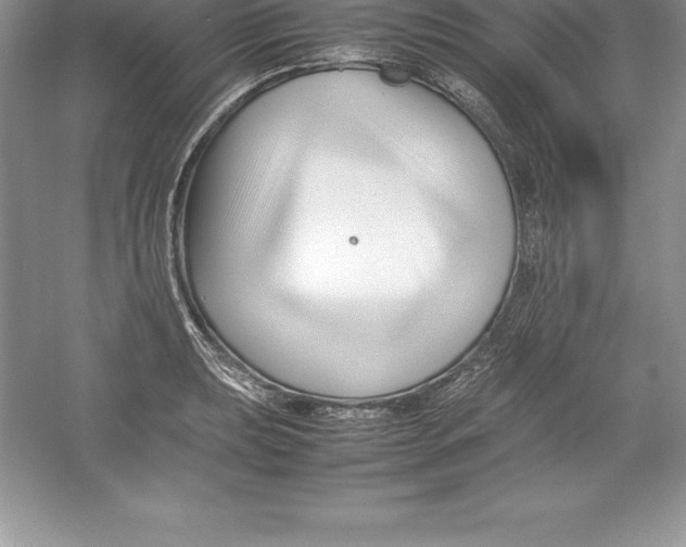 X0000052991039200508051102