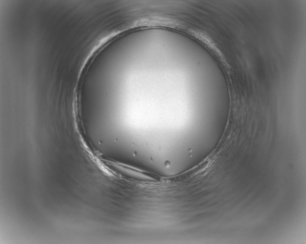 X0000052991040200508051102