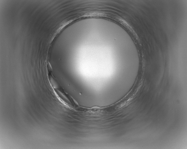 X0000052991041200508051102