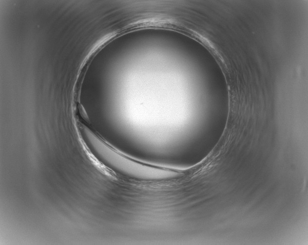 X0000052991042200508051102