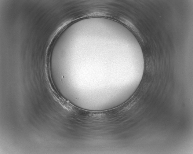 X0000052991043200508051102