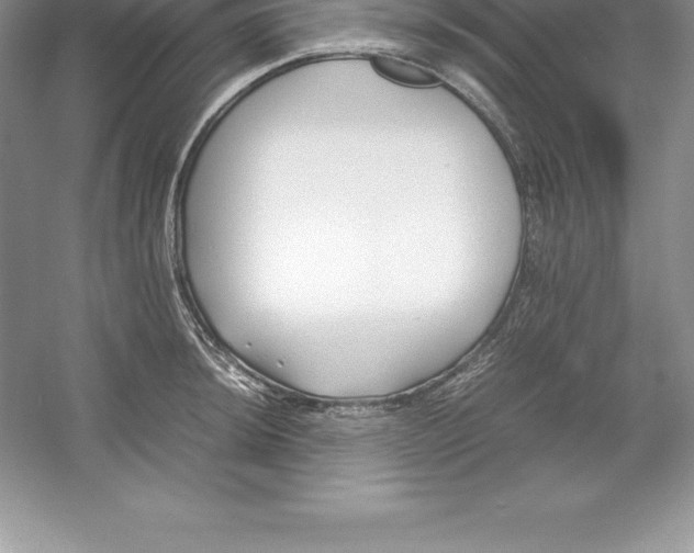 X0000052991044200508051102