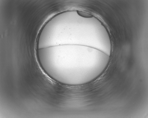 X0000052991048200508051102