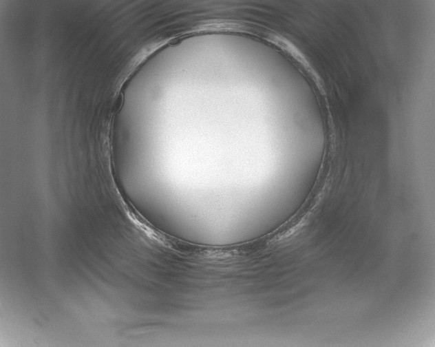 X0000052991049200508051102