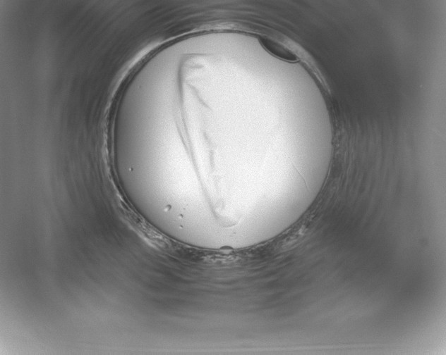 X0000052991051200508051103