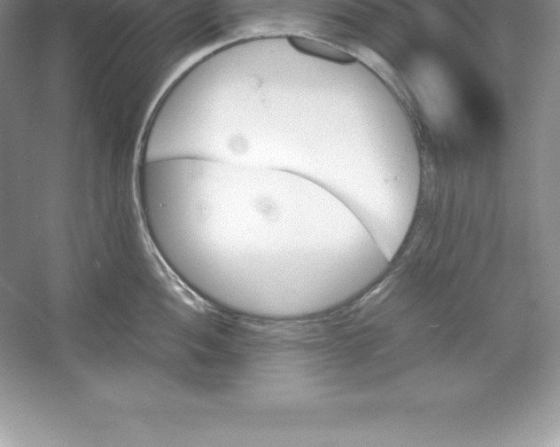 X0000052991052200508051103