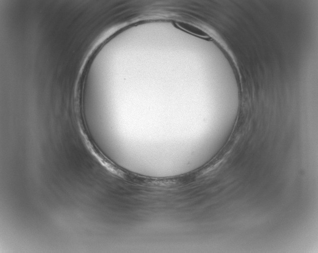 X0000052991053200508051103