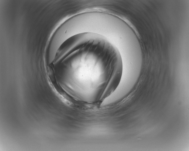 X0000052991054200508051103