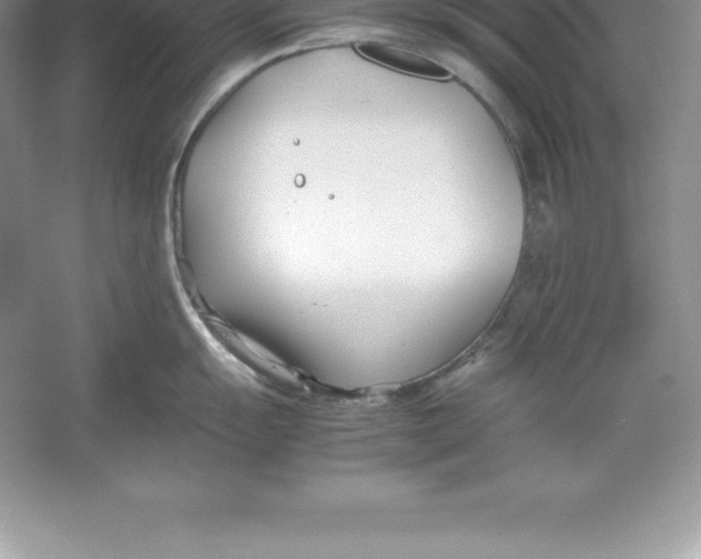 X0000052991055200508051103