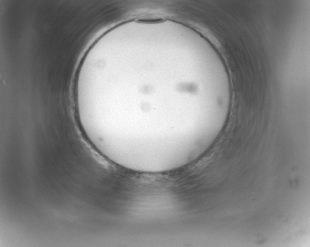 X0000052991056200508051103