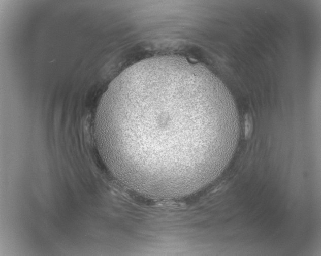 X0000052991059200508051102