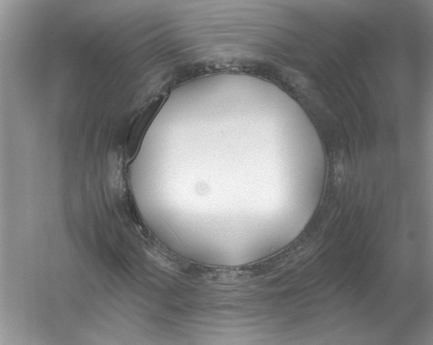 X0000052991060200508051102