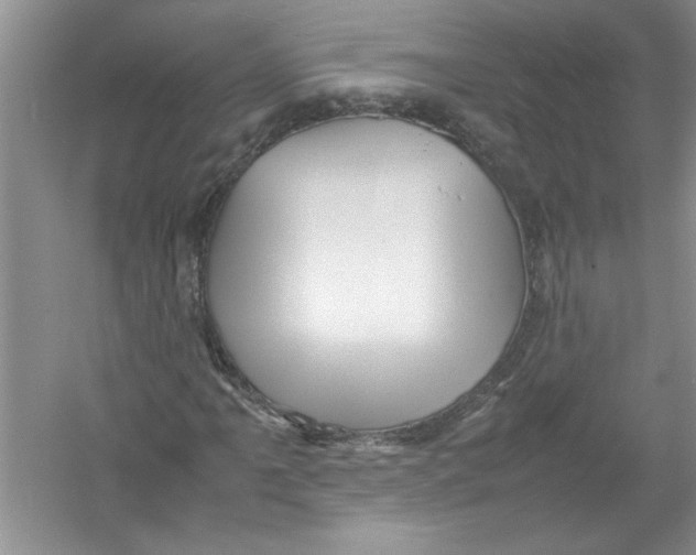 X0000052991061200508051102