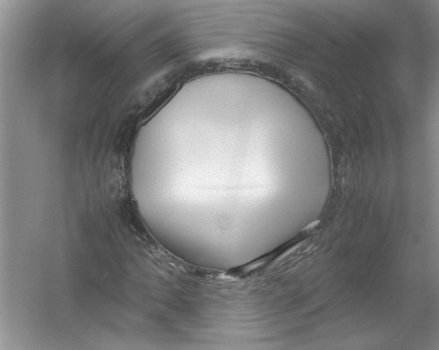 X0000052991062200508051102