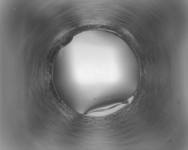 X0000052991064200508051102