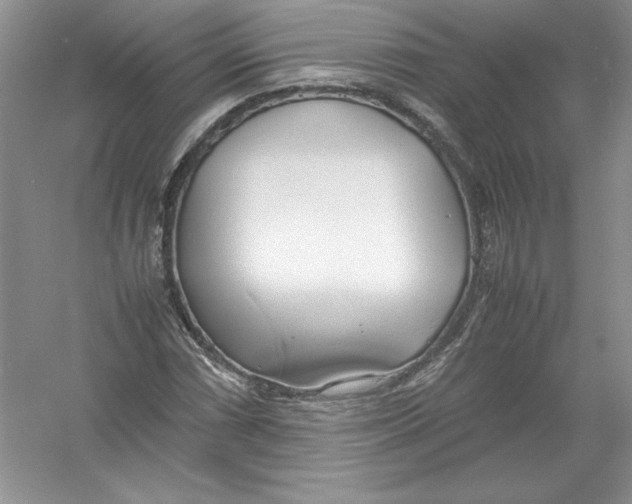 X0000052991066200508051102