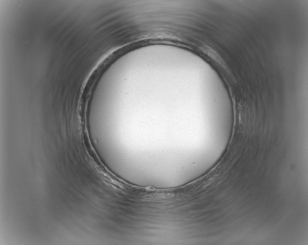 X0000052991068200508051102