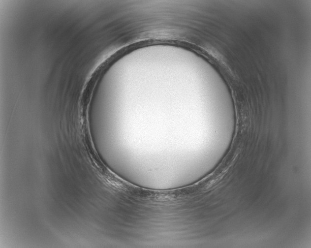 X0000052991070200508051102