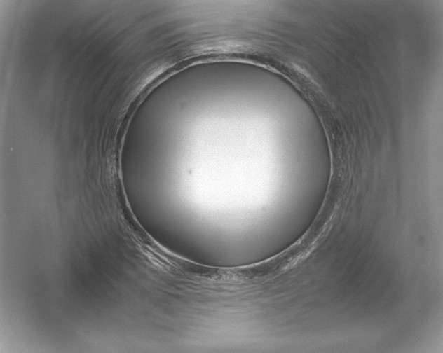 X0000052991073200508051102