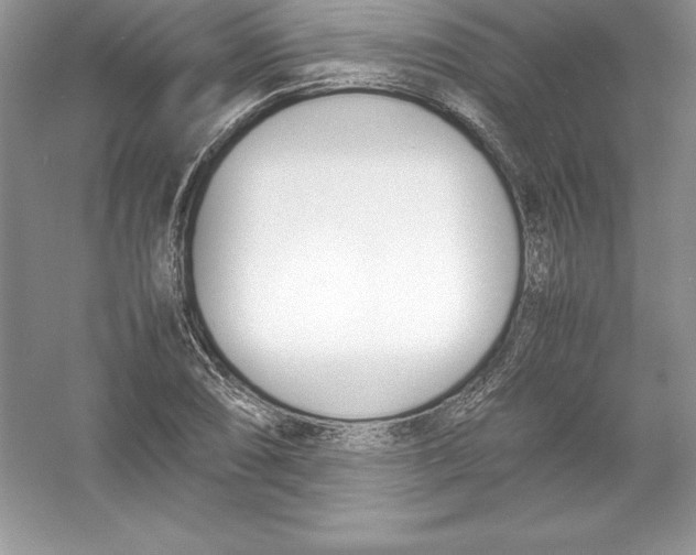 X0000052991074200508051102