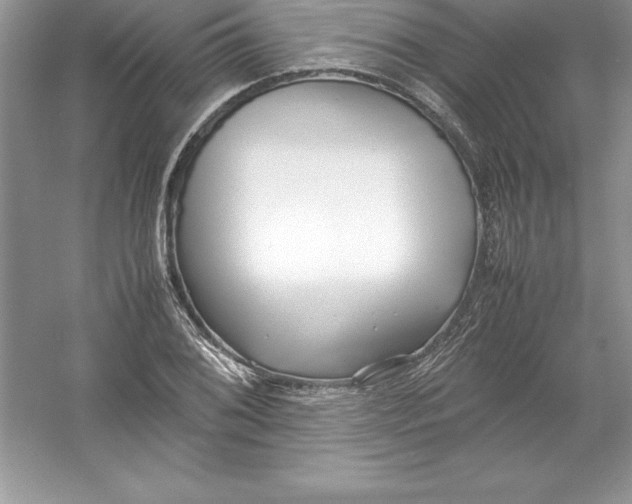 X0000052991076200508051101