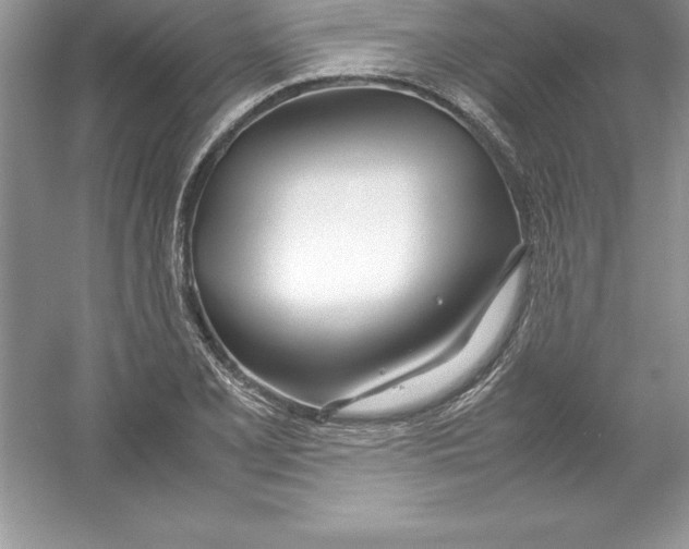 X0000052991077200508051101