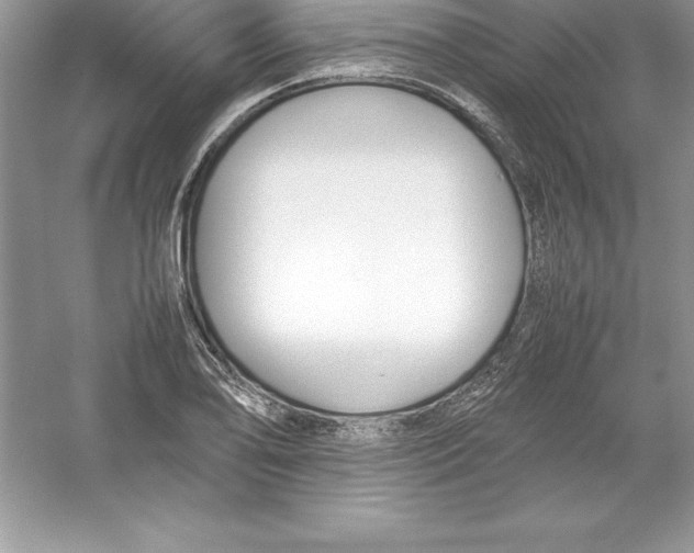 X0000052991078200508051101