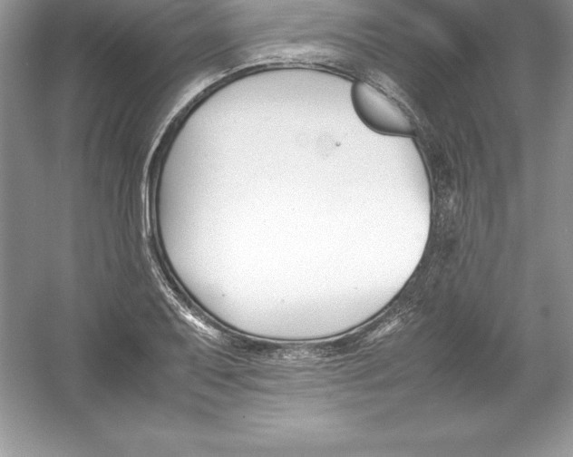 X0000052991079200508051101