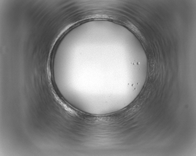 X0000052991084200508051101