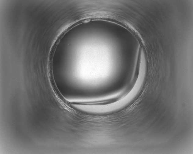 X0000052991085200508051101