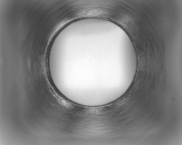 X0000052991086200508051101