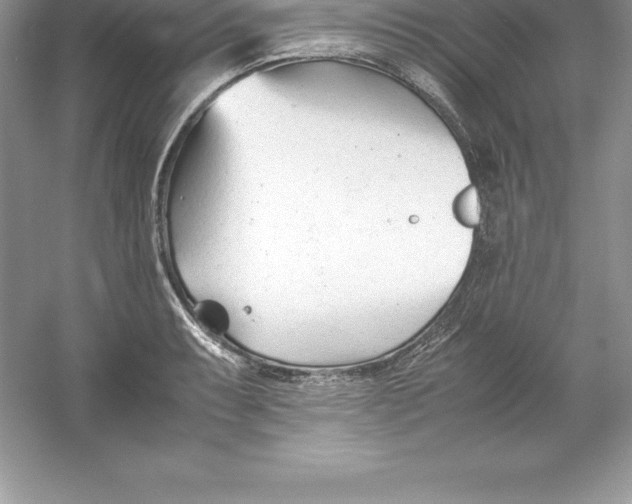 X0000052991087200508051101