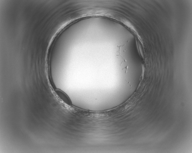 X0000052991088200508051101